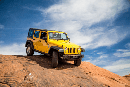 ¿Por qué elegir distribuidores autorizados?